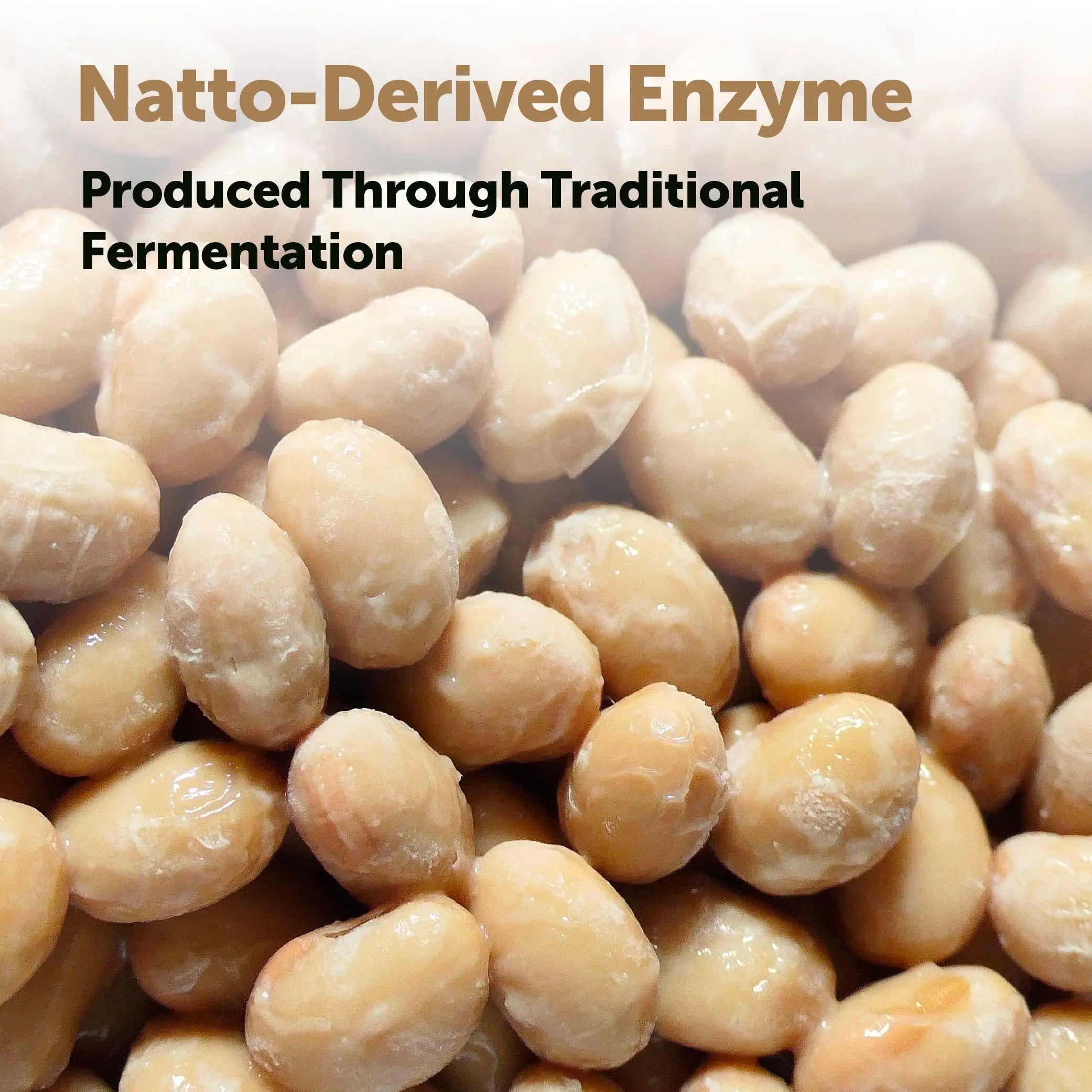Nattokinase 10,000FU